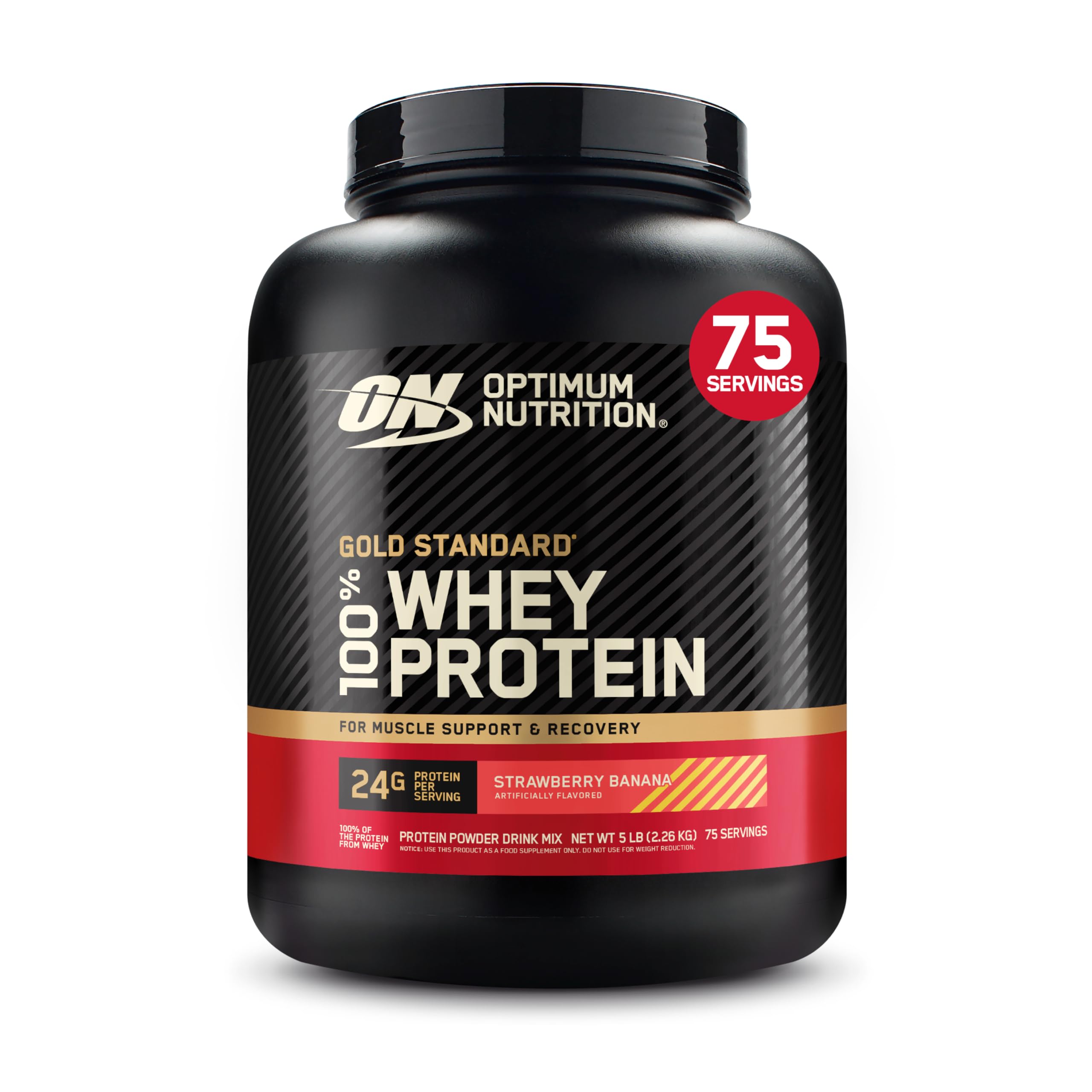 Optimum Nutrition Gold Standard Whey Protein, Double Rich Chocolate, 2 LB